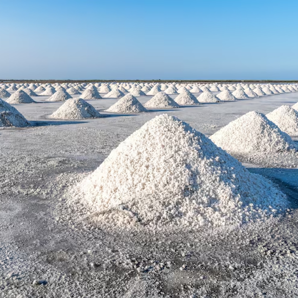 salt