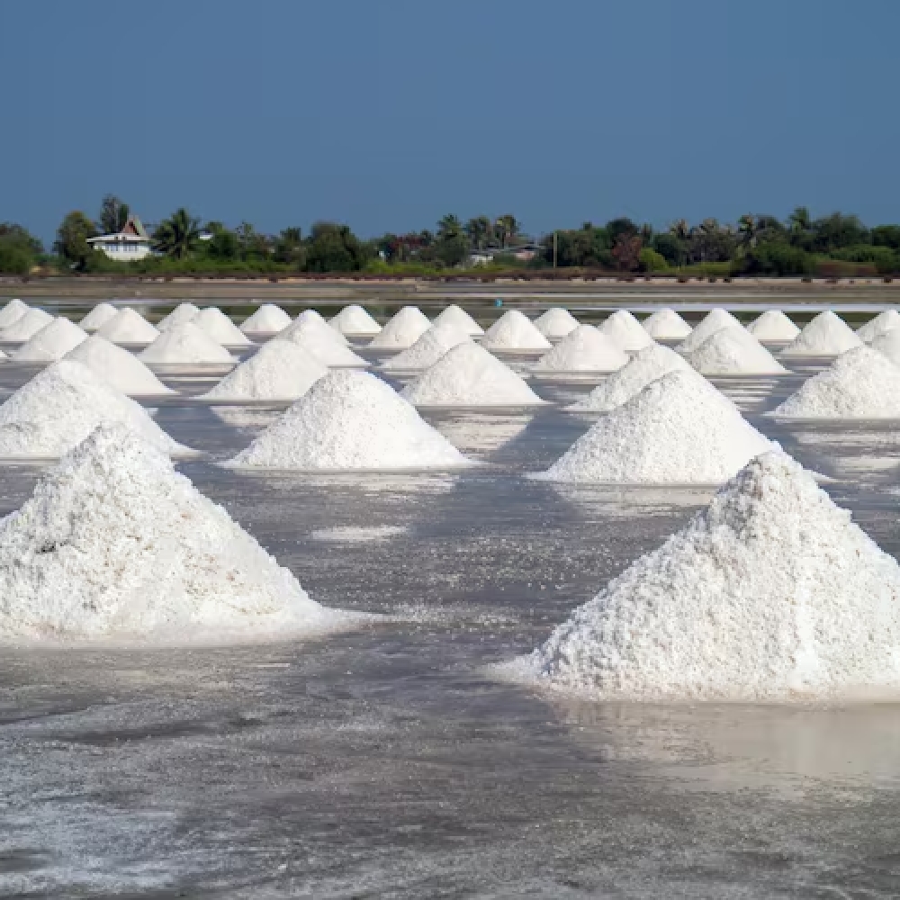 salt