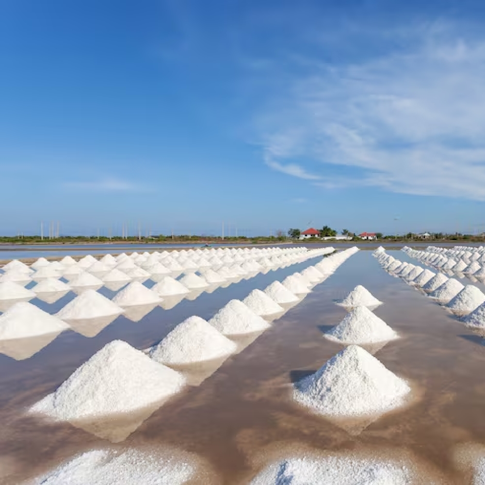 salt