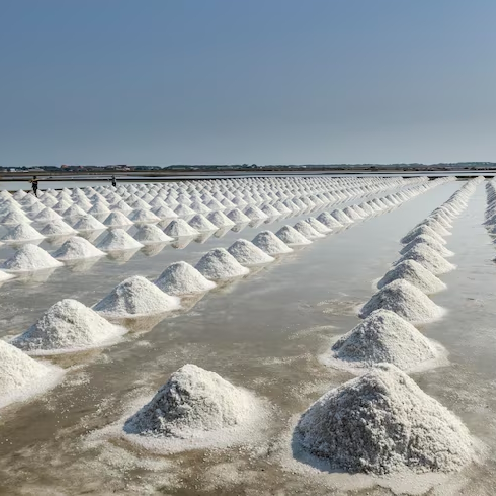 salt