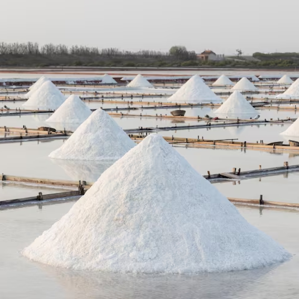 salt