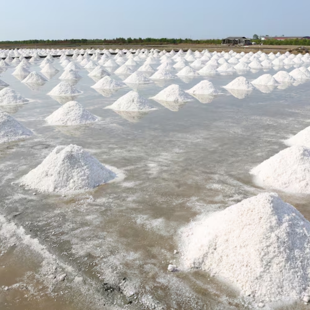 salt
