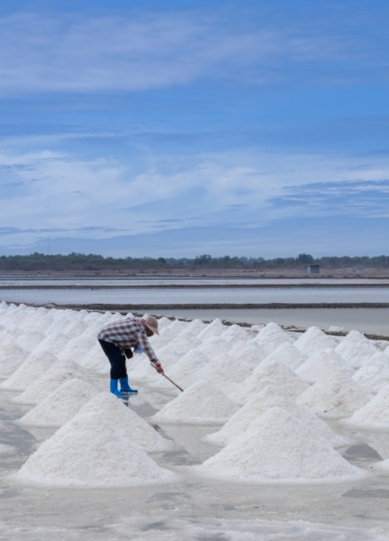 salt